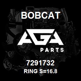 7291732 Bobcat RING S=16.8 | AGA Parts