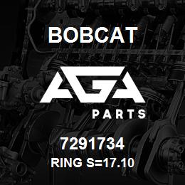 7291734 Bobcat RING S=17.10 | AGA Parts