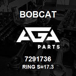 7291736 Bobcat RING S=17.3 | AGA Parts