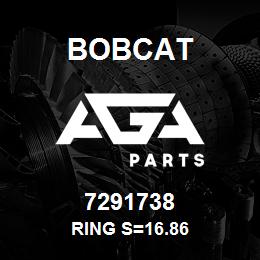 7291738 Bobcat RING S=16.86 | AGA Parts