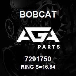 7291750 Bobcat RING S=16.84 | AGA Parts