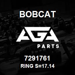 7291761 Bobcat RING S=17.14 | AGA Parts