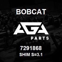 7291868 Bobcat SHIM S=3.1 | AGA Parts