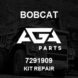 7291909 Bobcat KIT REPAIR | AGA Parts