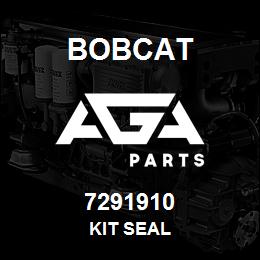 7291910 Bobcat KIT SEAL | AGA Parts