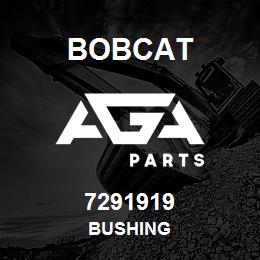 7291919 Bobcat BUSHING | AGA Parts