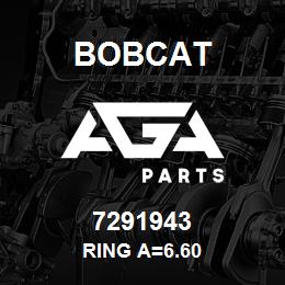 7291943 Bobcat RING A=6.60 | AGA Parts