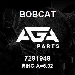 7291948 Bobcat RING A=6.02 | AGA Parts