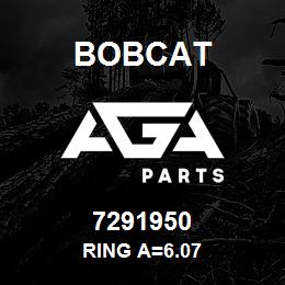 7291950 Bobcat RING A=6.07 | AGA Parts