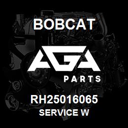 RH25016065 Bobcat SERVICE W | AGA Parts