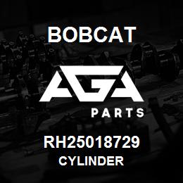 RH25018729 Bobcat CYLINDER | AGA Parts