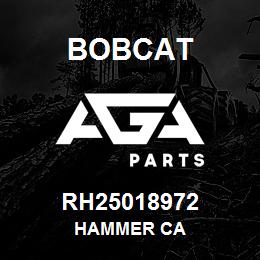 RH25018972 Bobcat HAMMER CA | AGA Parts