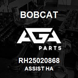 RH25020868 Bobcat ASSIST HA | AGA Parts