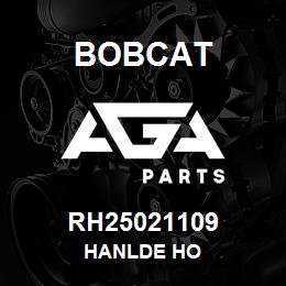 RH25021109 Bobcat HANLDE HO | AGA Parts