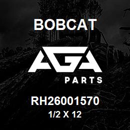 RH26001570 Bobcat 1/2 X 12 | AGA Parts