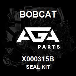 X000315B Bobcat SEAL KIT | AGA Parts