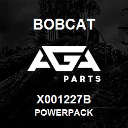 X001227B Bobcat POWERPACK | AGA Parts