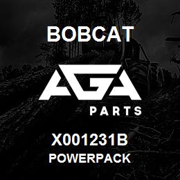 X001231B Bobcat POWERPACK | AGA Parts