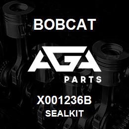 X001236B Bobcat SEALKIT | AGA Parts