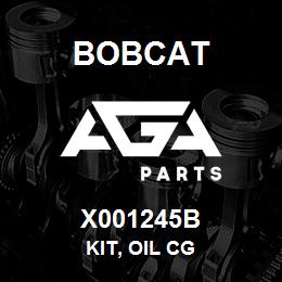 X001245B Bobcat KIT, OIL CG | AGA Parts