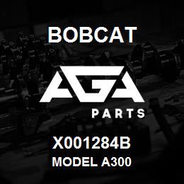 X001284B Bobcat MODEL A300 | AGA Parts