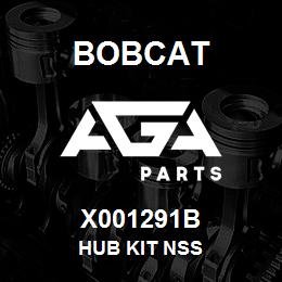 X001291B Bobcat HUB KIT NSS | AGA Parts