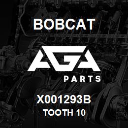 X001293B Bobcat TOOTH 10 | AGA Parts