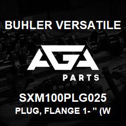 SXM100PLG025 Buhler Versatile PLUG, FLANGE 1- " (WITH 1/4" PORT) | AGA Parts