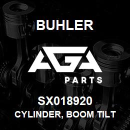 SX018920 Buhler Cylinder, Boom Tilt - 4 x 15 (3000psi) | AGA Parts