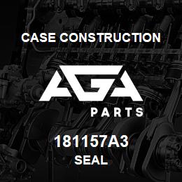 181157A3 Case Construction SEAL | AGA Parts