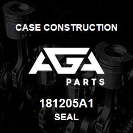 181205A1 Case Construction SEAL | AGA Parts