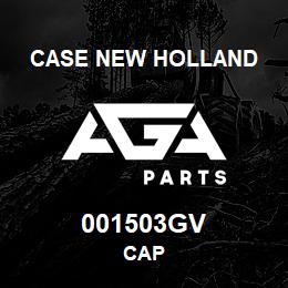 001503GV CNH Industrial CAP | AGA Parts