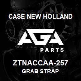 ZTNACCAA-257 CNH Industrial GRAB STRAP | AGA Parts