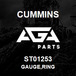 ST01253 Cummins GAUGE,RING | AGA Parts