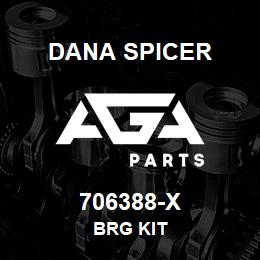706388-X Dana BRG KIT | AGA Parts