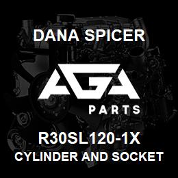 R30SL120-1X Dana CYLINDER AND SOCKET ASSY I | AGA Parts