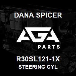 R30SL121-1X Dana STEERING CYL | AGA Parts
