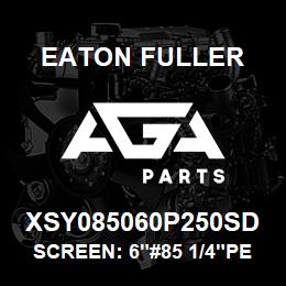 XSY085060P250SD Eaton Fuller SCREEN: 6"#85 1/4"PERF 1 50#/300# 316 SSTL | AGA Parts