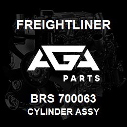 BRS 700063 Freightliner CYLINDER ASSY | AGA Parts