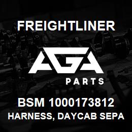 BSM 1000173812 Freightliner HARNESS, DAYCAB SEPARATOR | AGA Parts