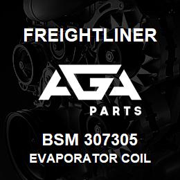 BSM 307305 Freightliner EVAPORATOR COIL | AGA Parts