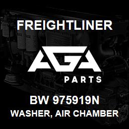 BW 975919N Freightliner WASHER, AIR CHAMBER | AGA Parts