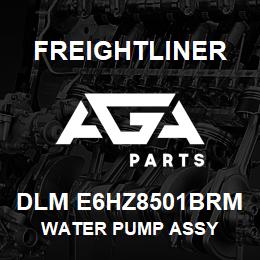 DLM E6HZ8501BRM Freightliner WATER PUMP ASSY | AGA Parts