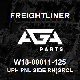 W18-00011-125 Freightliner UPH PNL SIDE RH(GRCL | AGA Parts