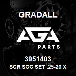 3951403 Gradall SCR SOC SET .25-20 X .38 KNRL | AGA Parts