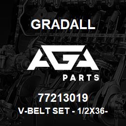 77213019 Gradall V-BELT SET - 1/2X36-1/4 OD | AGA Parts