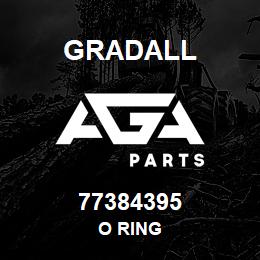 77384395 Gradall O RING | AGA Parts