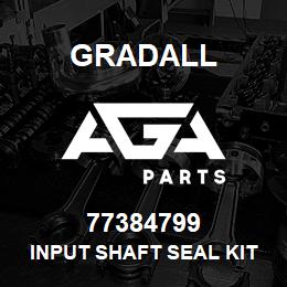 77384799 Gradall INPUT SHAFT SEAL KIT | AGA Parts