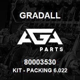 80003530 Gradall KIT - PACKING 6.022 BORE X | AGA Parts