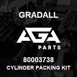 80003738 Gradall CYLINDER PACKING KIT | AGA Parts